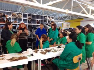 „Теchnic Development“ д.о.о. Врање